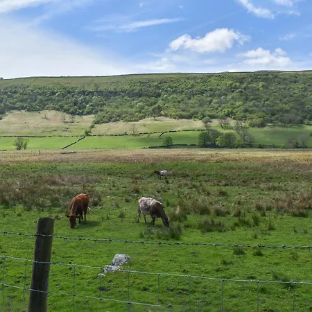 Horseshoe Starbotton