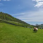 Horseshoe *